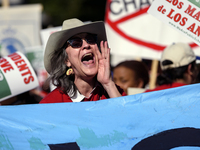 Teachers and supporters of public education march against education funding cuts during the March for Public Education in Los Angeles, Calif...