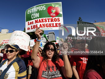 Teachers and supporters of public education march against education funding cuts during the March for Public Education in Los Angeles, Calif...