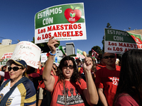 Teachers and supporters of public education march against education funding cuts during the March for Public Education in Los Angeles, Calif...