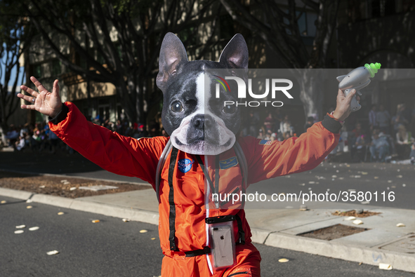 A participant wears a dog mask during the 41st annual Doo Dah Parade in Pasadena, California on November 18, 2018. The parade is known for i...