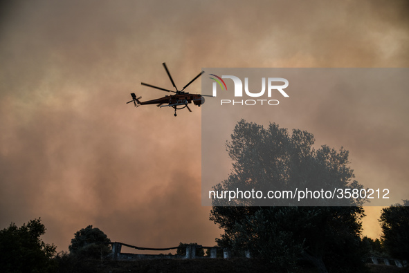 Massive wildfire is burning in between the villages of Psachna and Kontodespotis on Euboea, on August 12, 2018. 