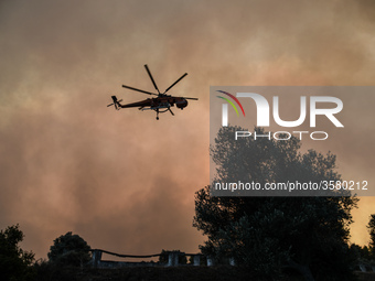 Massive wildfire is burning in between the villages of Psachna and Kontodespotis on Euboea, on August 12, 2018. (