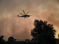 Massive wildfire is burning in between the villages of Psachna and Kontodespotis on Euboea, on August 12, 2018. (