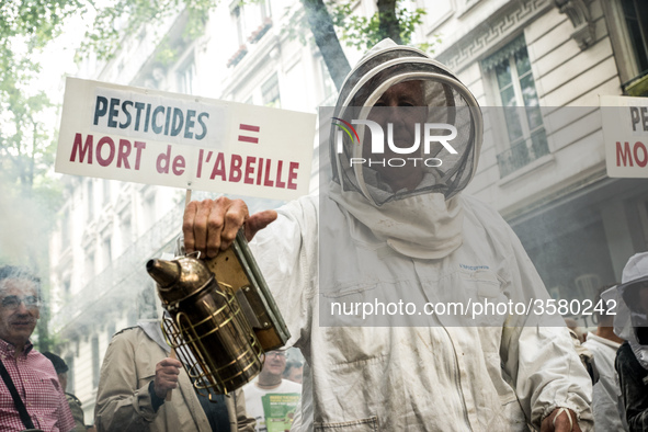 Beekeepers demonstrate against pesticides in Lyon, France, on June 7, 2018. They denounce the over-intensive use of pesticides, which have l...