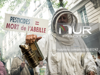 Beekeepers demonstrate against pesticides in Lyon, France, on June 7, 2018. They denounce the over-intensive use of pesticides, which have l...