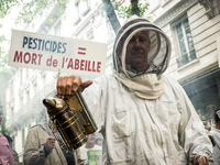 Beekeepers demonstrate against pesticides in Lyon, France, on June 7, 2018. They denounce the over-intensive use of pesticides, which have l...