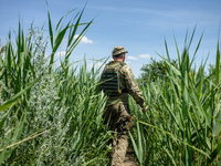 Soldiers of the Ukrainian army on the front line during the Joint Forces Operation in Donbass area, Luhansk region, Ukraine, on June 2018. D...