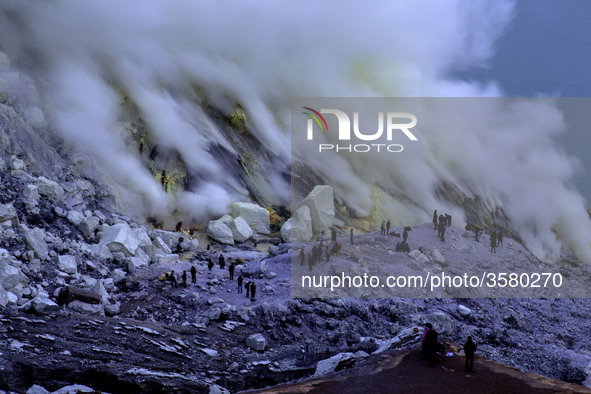  With the increasing tourist foreigner and local indonesia visitting Mount Ijen, all of them want to enjoy the beauty of the Mountain especi...