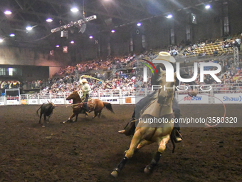 Cowboys in action during a Team Roping competion at the K-Days Rodeo in Edmonton.
On Sunday, July 22, 2018, in Edmonton, Alberta, Canada. (