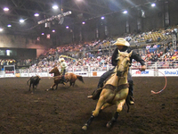 Cowboys in action during a Team Roping competion at the K-Days Rodeo in Edmonton.
On Sunday, July 22, 2018, in Edmonton, Alberta, Canada. (