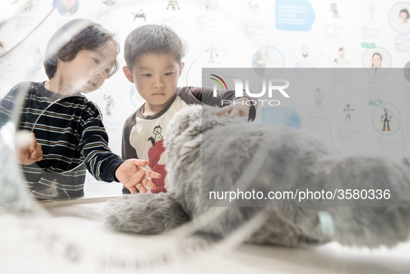 Therapeutic Seal Robot PARO, Guinness certified as the first therapy robot, is exhibited at the National Museum of Emerging Science and Inno...