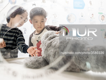 Therapeutic Seal Robot PARO, Guinness certified as the first therapy robot, is exhibited at the National Museum of Emerging Science and Inno...