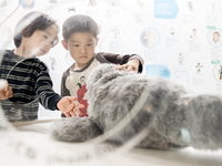 Therapeutic Seal Robot PARO, Guinness certified as the first therapy robot, is exhibited at the National Museum of Emerging Science and Inno...