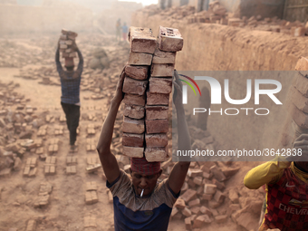 A man stacks more than a dozen bricks on his head while working at in brickfields Narayanganj near Dhaka Bangladesh on January 12, 2019. (