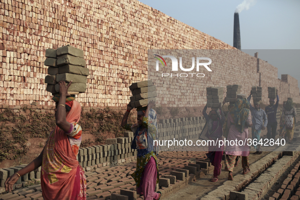 Brickfield women workers are works in brickfields Narayanganj near Dhaka Bangladesh on January 12, 2019. 