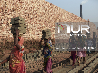 Brickfield women workers are works in brickfields Narayanganj near Dhaka Bangladesh on January 12, 2019. (