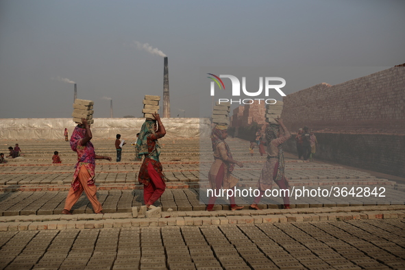 Brickfield women workers are works in brickfields Narayanganj near Dhaka Bangladesh on January 12, 2019. 