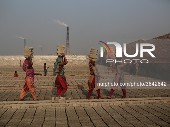 Brickfield women workers are works in brickfields Narayanganj near Dhaka Bangladesh on January 12, 2019. (