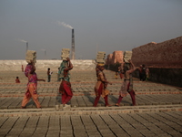 Brickfield women workers are works in brickfields Narayanganj near Dhaka Bangladesh on January 12, 2019. (