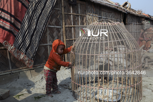 
Brickfield workers live inside brickfields with their family in brickfields Narayanganj near Dhaka Bangladesh on January 12, 2019.
 