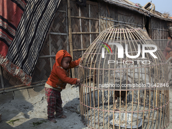 
Brickfield workers live inside brickfields with their family in brickfields Narayanganj near Dhaka Bangladesh on January 12, 2019.
 (