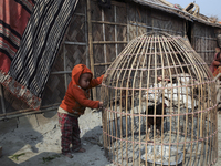 
Brickfield workers live inside brickfields with their family in brickfields Narayanganj near Dhaka Bangladesh on January 12, 2019.
 (