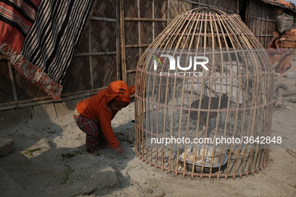 
Brickfield workers live inside brickfields with their family in brickfields Narayanganj near Dhaka Bangladesh on January 12, 2019.
 