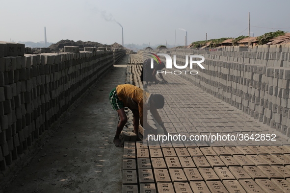 Children women brickfield workers are works in brickfields Narayanganj near Dhaka Bangladesh on January 12, 2019. 