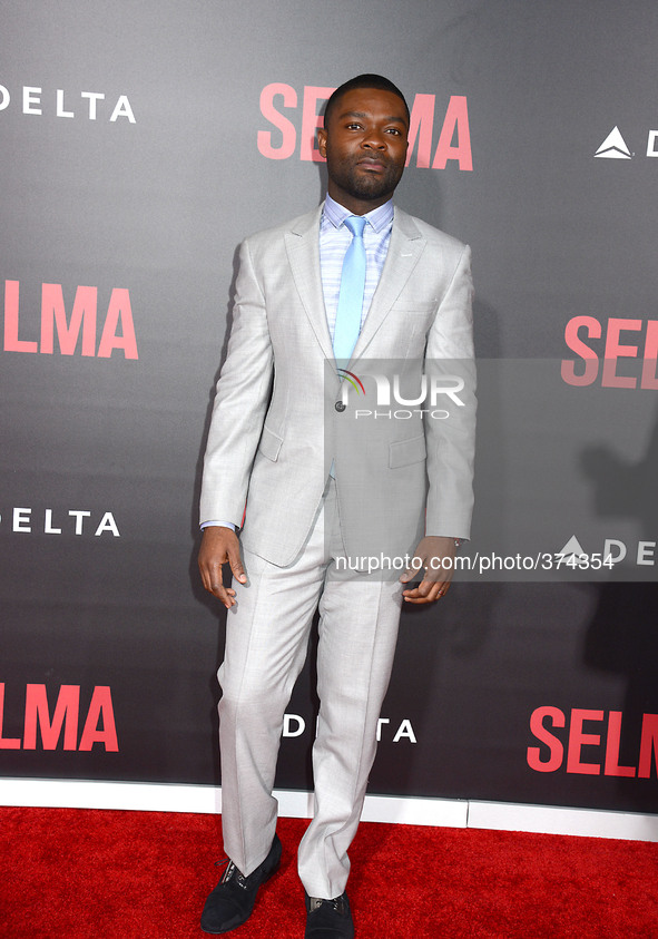 David Oyelowo attends the New York Premiere of "Selma" on December 14, 2014 at the Ziegfeld Theatre in New York City, USA.
