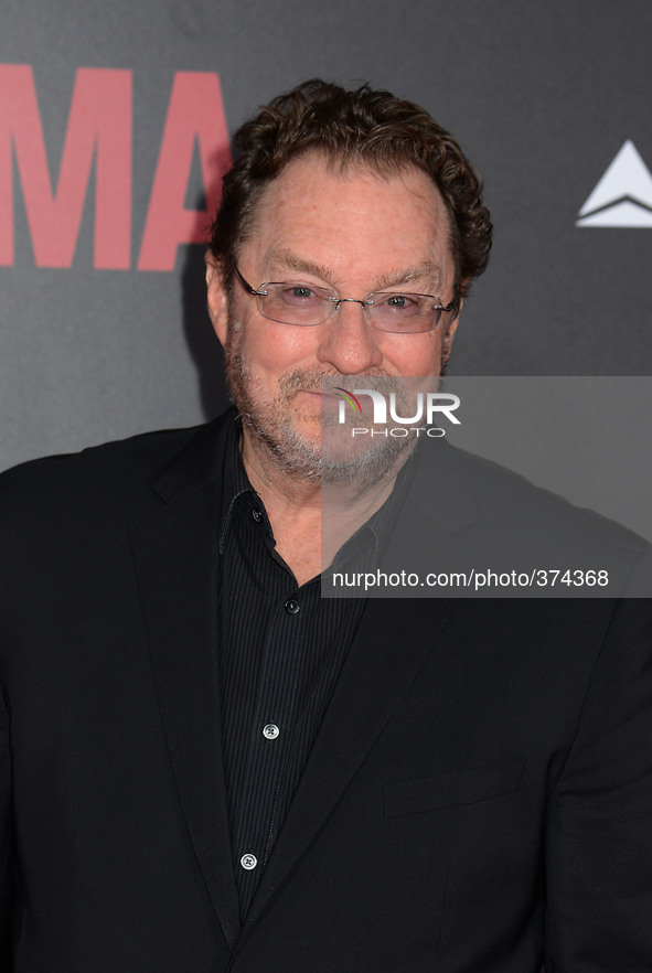 actor Stephen Root attends the New York Premiere of "Selma" on December 14, 2014 at the Ziegfeld Theatre in New York City, USA.