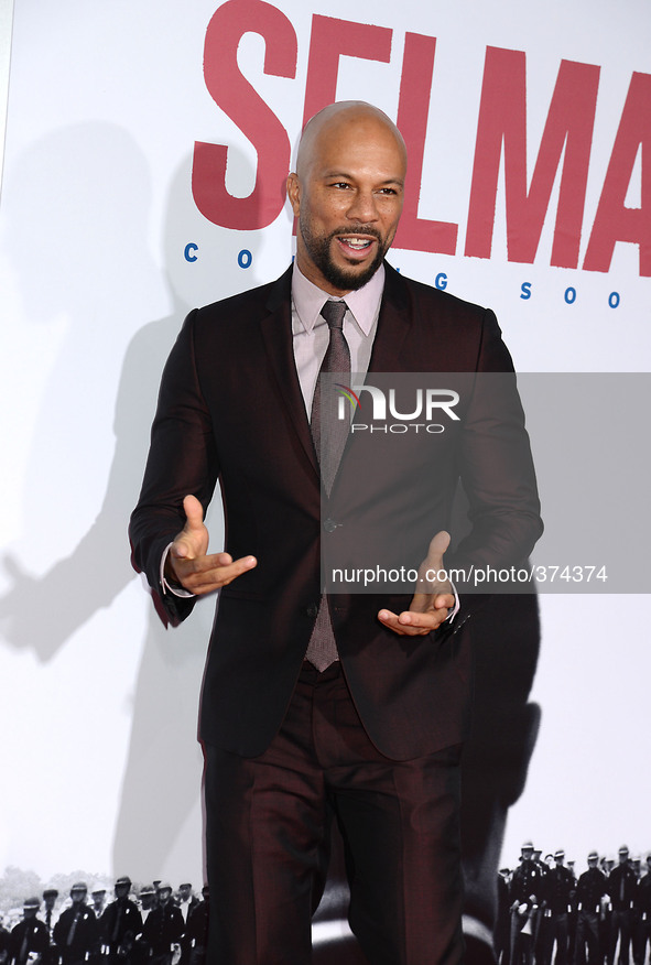 Common attends the New York Premiere of "Selma" on December 14, 2014 at the Ziegfeld Theatre in New York City, USA.