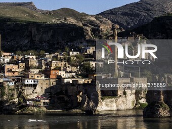 2014 -Hasankeyf - The last shoot before the flood (