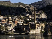 2014 -Hasankeyf - The last shoot before the flood (