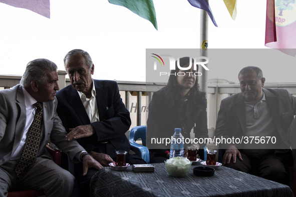 2014 - Hasankeyf - Politicians 