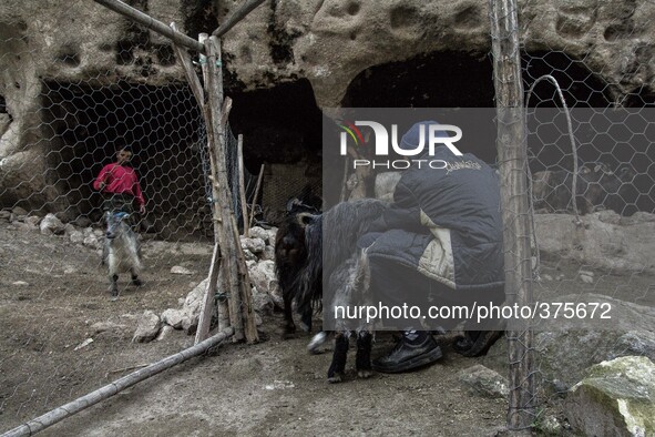 2014 - Hasankeyf - Shepherds 