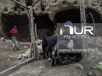 2014 - Hasankeyf - Shepherds (