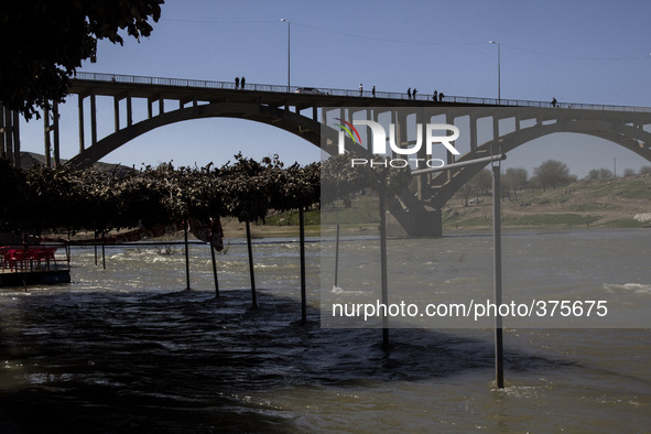 2014 - Hasankeyf - Under the bridge 