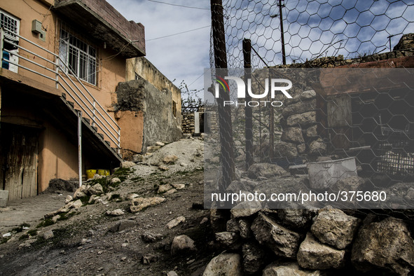 2014 - Hasankeyf - Next to the corner 