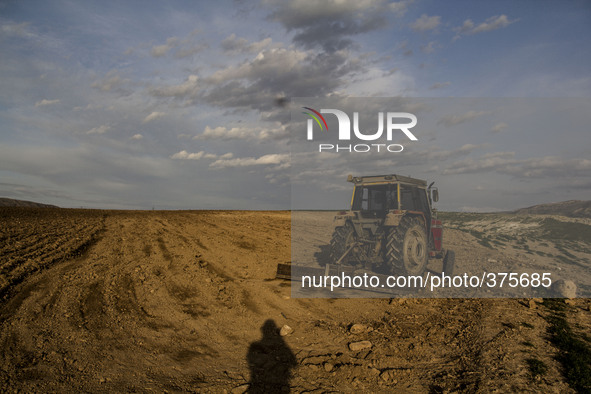 2014 - Turkey - Ilisu dam - Hasankeyf - Farmer at work 