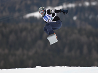 Daisuke Watanabe from Japan, during a Men's Snowboardcross Qualification round, at FIS Snowboard World Championship 2015, in Kreischberg. Kr...