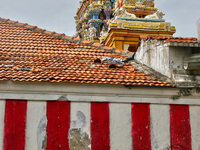 Madduvil Panriththalaichchi Amman Kovil (Madduvil Panriththalachchi Amman Hindu Temple) in Madduvil, Jaffna, Northern Province, Sri Lanka. (