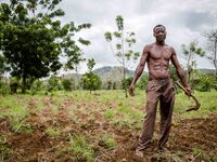 Ziticael, 43 years, guardian during the night and worker during the day in the fields
"The land of honest man". With these words Shankara h...