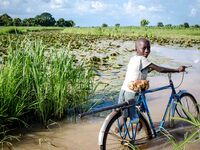 young burkinabè go to work
"The land of honest man". With these words Shankara has defined his people before it was killed, and Blaise Camp...