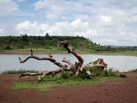 A basin of water near the city of Dano
"The land of honest man". With these words Shankara has defined his people before it was killed, and...