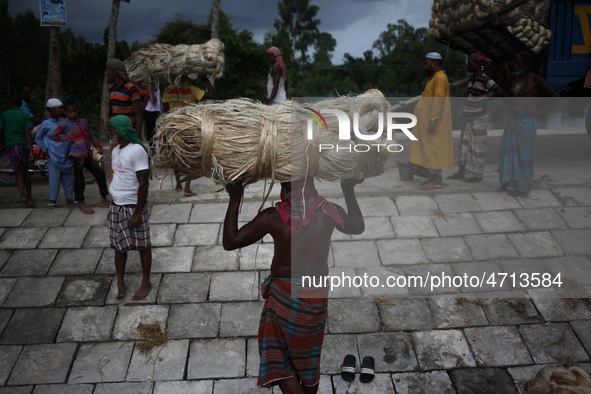 Labourers carry jute from a boat to a truck to send it in the capital Dhaka. Photo has taken on 26 July 2019 from Kurigram, Bangladesh.  