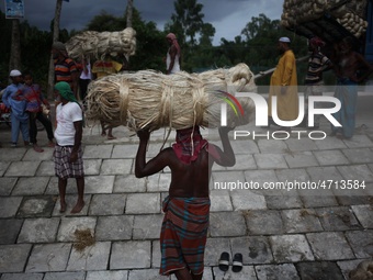 Labourers carry jute from a boat to a truck to send it in the capital Dhaka. Photo has taken on 26 July 2019 from Kurigram, Bangladesh.  (