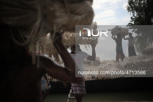 Labourers carry jute from a boat to a truck to send it in the capital Dhaka. Photo has taken on 26 July 2019 from Kurigram, Bangladesh.  