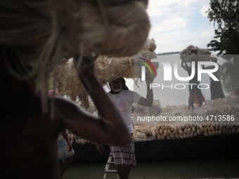 Labourers carry jute from a boat to a truck to send it in the capital Dhaka. Photo has taken on 26 July 2019 from Kurigram, Bangladesh.  (