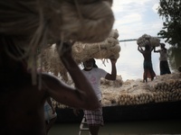 Labourers carry jute from a boat to a truck to send it in the capital Dhaka. Photo has taken on 26 July 2019 from Kurigram, Bangladesh.  (