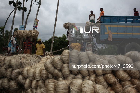 Labourers carry jute from a boat to a truck to send it in the capital Dhaka. Photo has taken on 26 July 2019 from Kurigram, Bangladesh.  